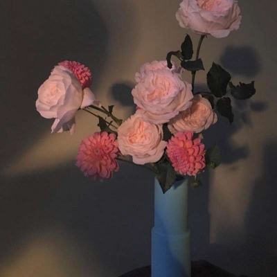 b体育官方体育app