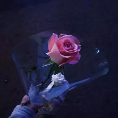 365平台官方版下载